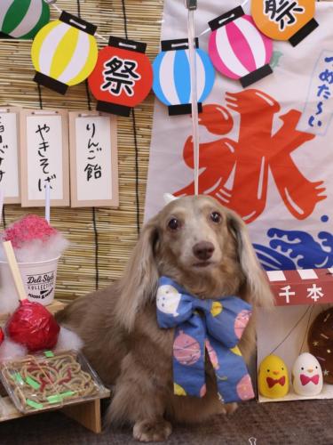 20240718ぺこちゃん